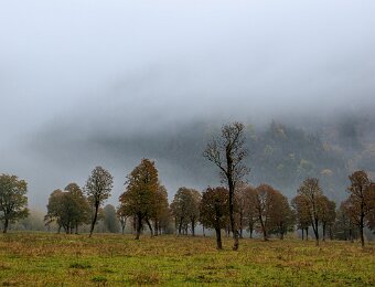 2025-10-09_018_Grosser-Ahornboden_3867_AR