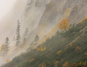 2025-10-09_020_Grosser-Ahornboden_0262_AR