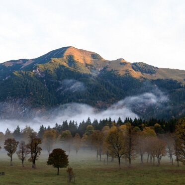 2025-10-31 Impressionen Oktober Robert Hoiss