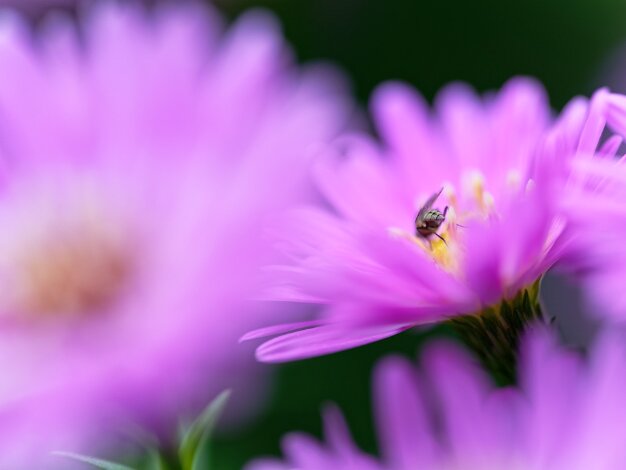 2025 10 31 Impressionen Oktober Thomas Ulbricht