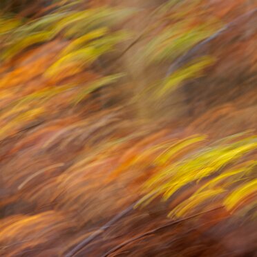 2025-11-30 Impressionen November Robert Hoiss