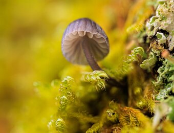 2025-12-03_004_Pilz_2896_AR