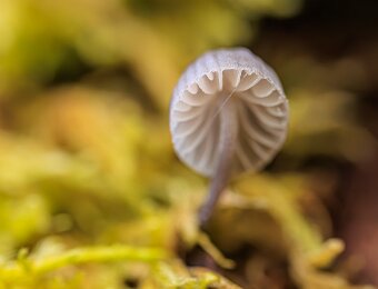 2025-12-03_005_Pilz_2972_AR