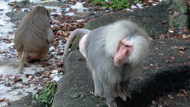 26-01-16_10_Impressionen_Januar_06575_JG