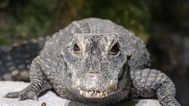 26-01-16_11_Impressionen_Januar_06613_JG