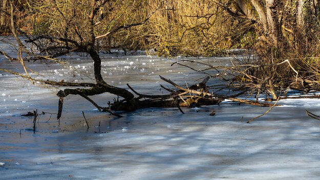 26-01-16_2_Impressionen_Januar_06480_JG