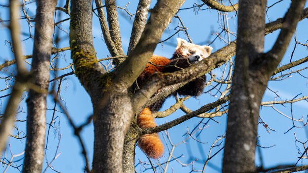 26-01-16_5_Impressionen_Januar_06503_JG