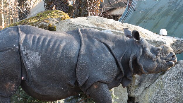 26-01-16_8_Impressionen_Januar_06566_JG