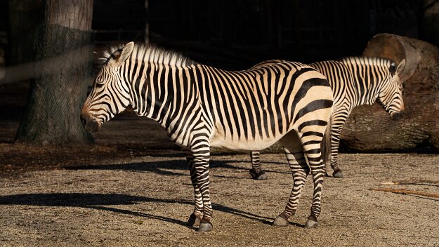 26-01-16_9_Impressionen_Januar_06570_JG