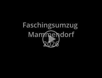 2026-02-17_Faschingsumzug-Mammendorf