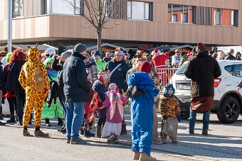 2026-02-17_007_Faschingsumzug-Mammendorf_06982_JG