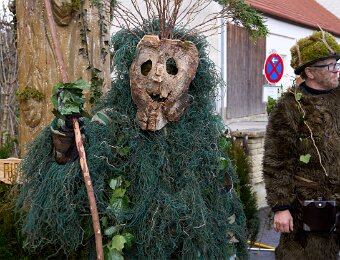 2026-02-17_011_Faschingszug_WP