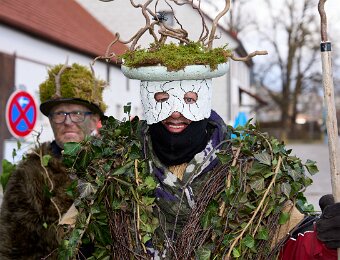 2026-02-17_012_Faschingszug_WP