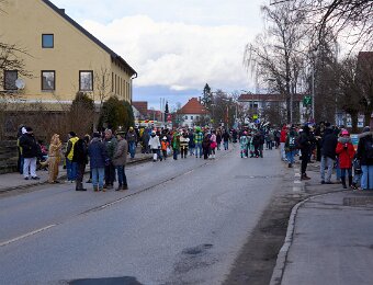 2026-02-17_019_Faschingszug_WP