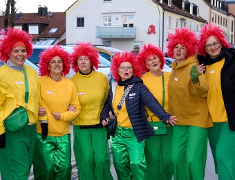 2026-02-17_020_Faschingszug_WP