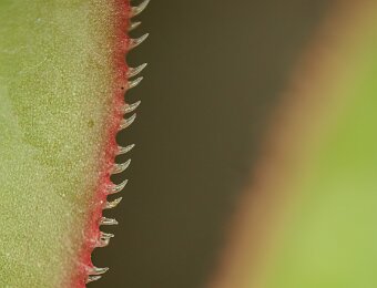 2026-03-01_012_Zacken_5492_AR