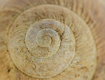 2026-03-01_013_Schneckenhaus_5702_AR