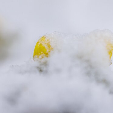 2026-02-28 Impressionen Februar Robert Hoiss