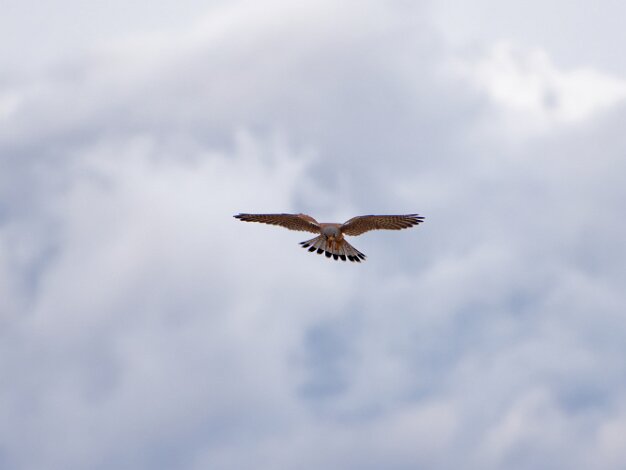 2026 02 28 Impressionen Februar Thomas Ulbricht