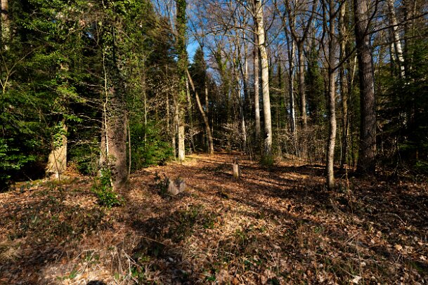 2026-03-20_02_Impressionen-M�rz_07645_JG