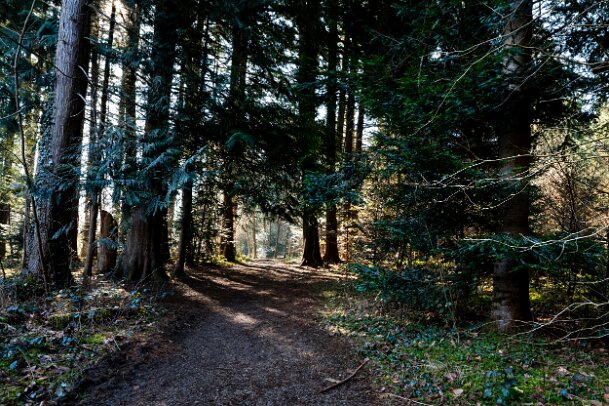 2026-03-20_03_Impressionen-M�rz_07647_JG