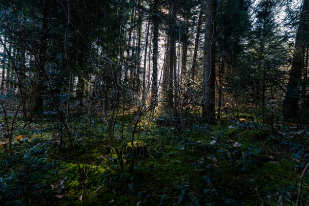 2026-03-20_04_Impressionen-M�rz_07650_JG