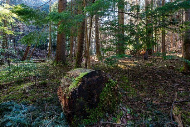 2026-03-20_05_Impressionen-M�rz_07651_JG