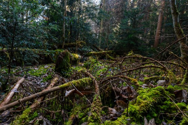 2026-03-20_06_Impressionen-M�rz_07659_JG