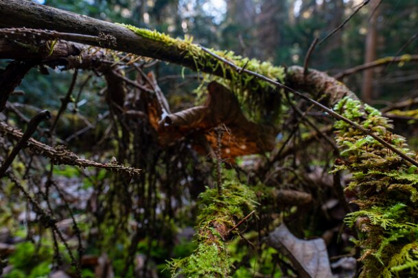 2026-03-20_07_Impressionen-M�rz_07660_JG