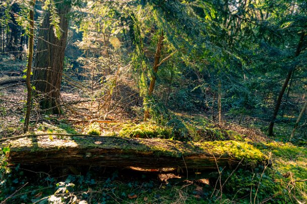 2026-03-20_08_Impressionen-M�rz_07667_JG