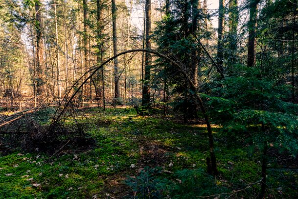 2026-03-20_09_Impressionen-M�rz_07672_JG