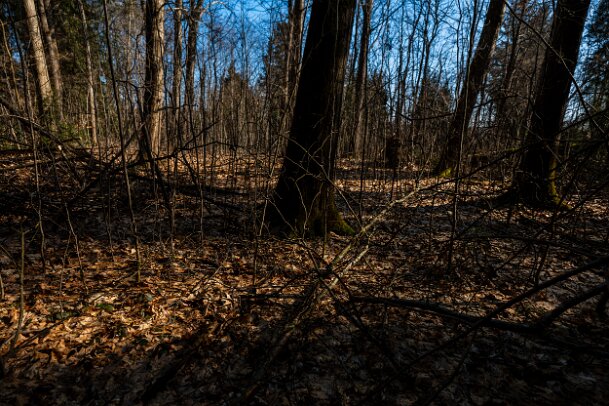 2026-03-20_11_Impressionen-M�rz_07680_JG