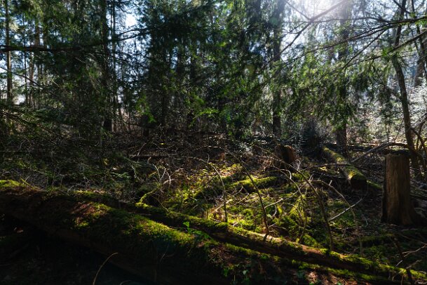 2026-03-20_12_Impressionen-M�rz_07687_JG