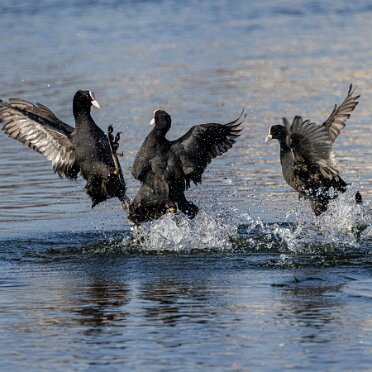 2026-03-31 Impressionen März Robert Hoiss