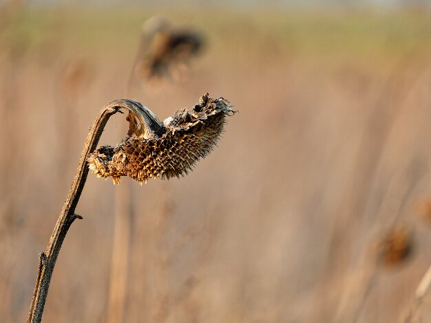 2026 03 31 Impressionen März Thomas Ulbricht