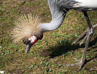 2026-03-20_011_Impressionen_Maerz_Raritaetenzoo_Ebbs_WP