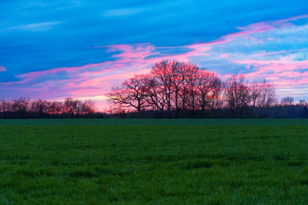 2026-04-04_07_Osterfeuer_07882_JG