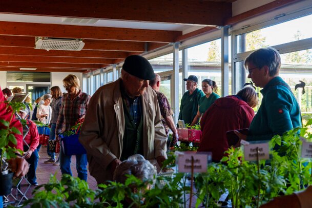 2026-04-25_07_Pflanzenflohmarkt_08130_JG