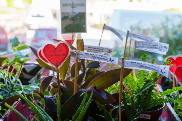 2026-04-25_13_Pflanzenflohmarkt_08138_JG