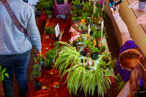 2026-04-25_14_Pflanzenflohmarkt_08139_JG