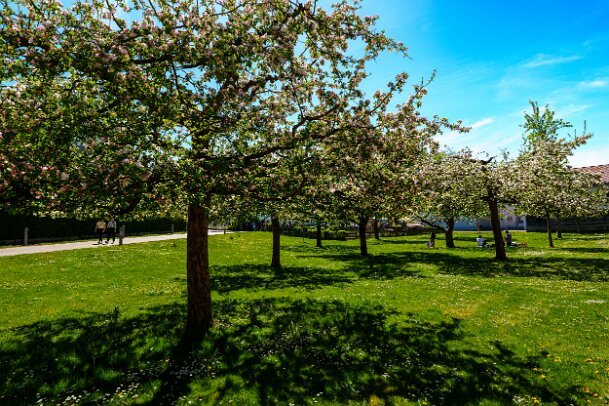 2026-04-26_08_Impressionen April 2026_08184_JG