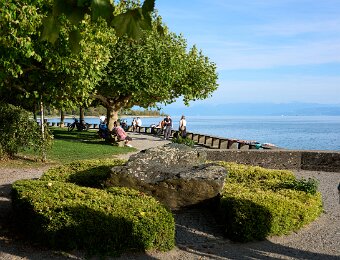 2026-09-17_009_Hagnau_Bodensee_WP