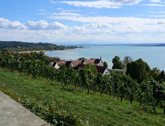 2026-09-18_015_Birnau_Bodensee_WP